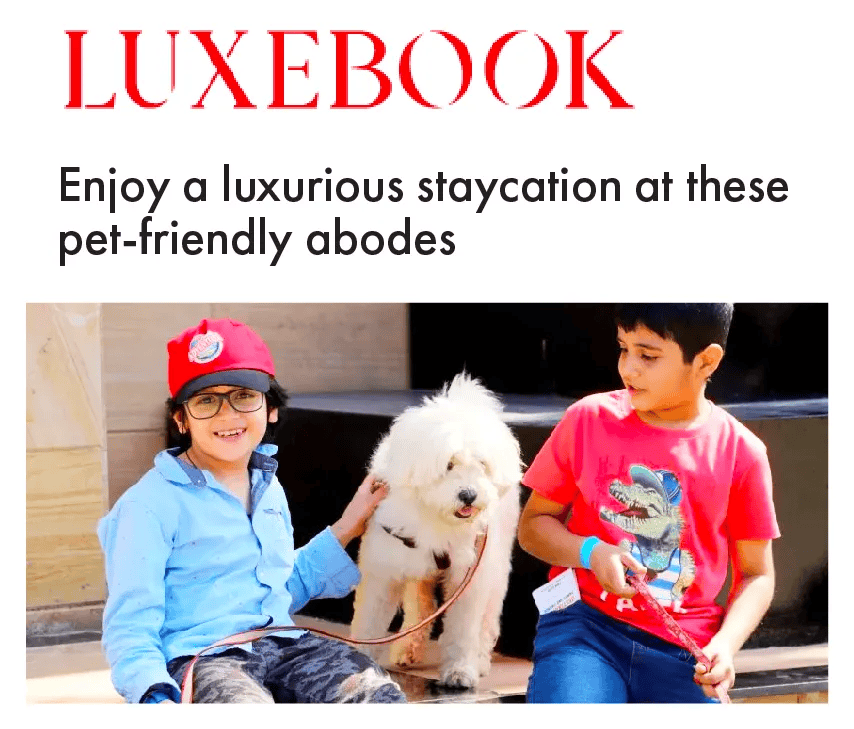 Luxebook